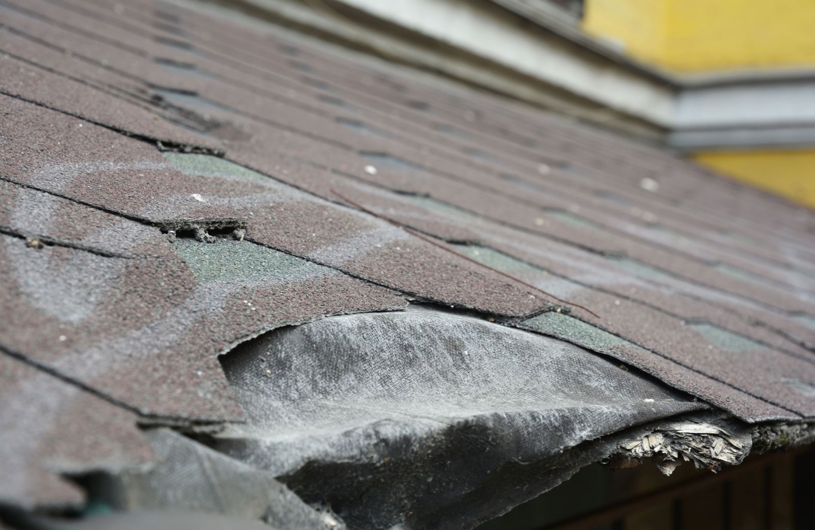 Total Roofing & Exteriors Images