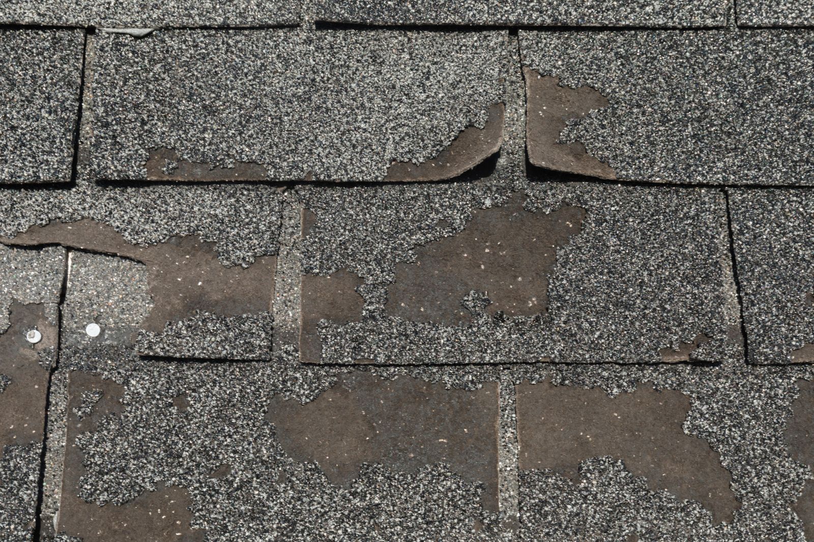 Total Roofing & Exteriors Images